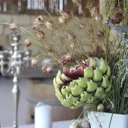 Maisonnette - La Clochette *