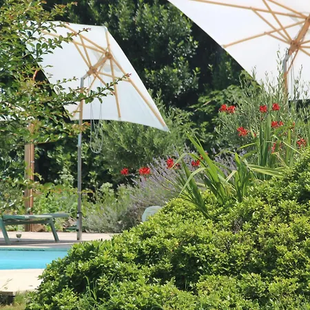 Maisonnette - La Clochette Lugon et l’Ile du Carney