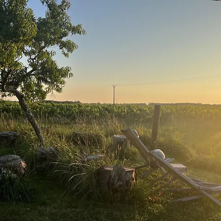 Maisonnette - La Clochette * Lugon et l'Ile du Carney