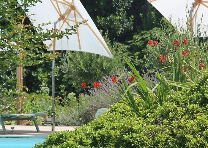 Maisonnette - La Clochette Lugon et l’Ile du Carney